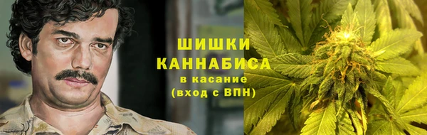 ПСИЛОЦИБИНОВЫЕ ГРИБЫ Заволжье