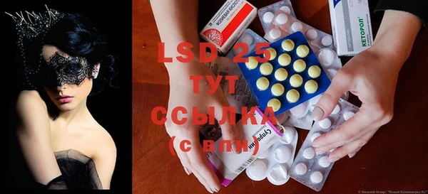 apvp Ельня
