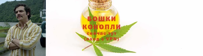 ПСИЛОЦИБИНОВЫЕ ГРИБЫ Заволжье