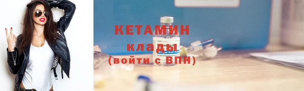 сатива Заводоуковск