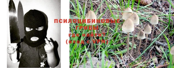 ПСИЛОЦИБИНОВЫЕ ГРИБЫ Заволжье