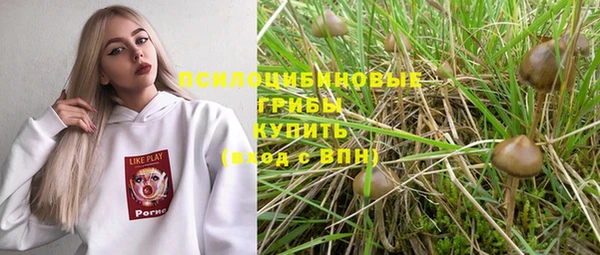 сатива Заволжск