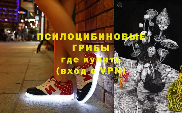 ПСИЛОЦИБИНОВЫЕ ГРИБЫ Заволжье