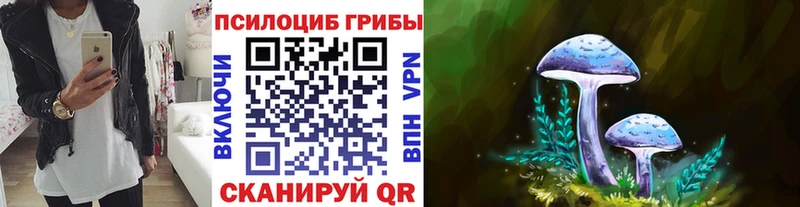 Галлюциногенные грибы прущие грибы  Новомичуринск 